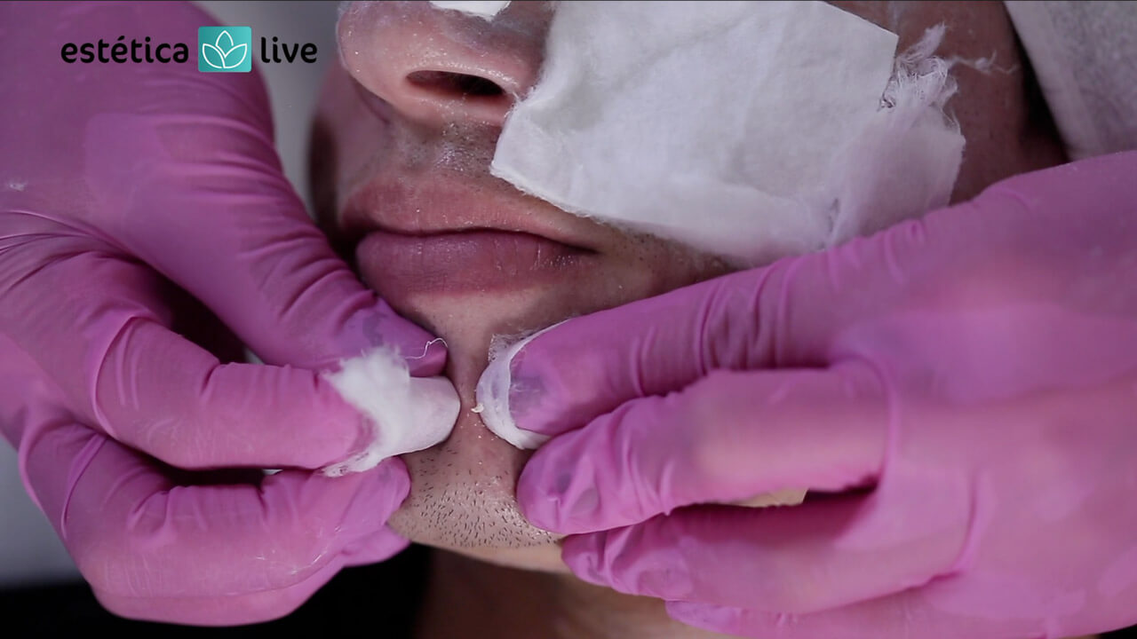 Galeria de Imagens | 06