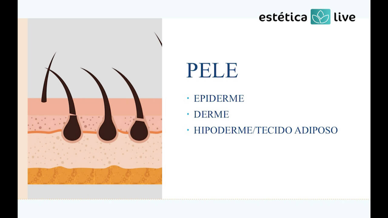 Galeria de Imagens | 17